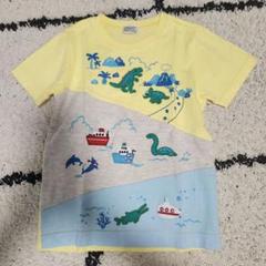 【バブチップ】恐竜刺繍ティシャツ