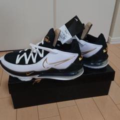 レブロン17low