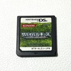 DS サバイバルキッズ Lost in Blue 2