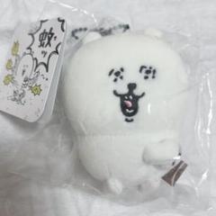 ナガノマーケット　カラー　くま　8点　マスコット　ぬいぐるみ ナガノキャラクターズ カラーなナガノのくまマスコット