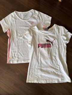 PUMA adidas ホワイト Tシャツ 160