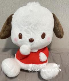 ポチャッコ うふふBIGぬいぐるみ　30㎝