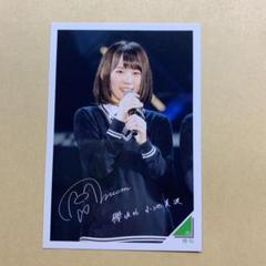 Amazon.co.jp: 櫻坂46 欅坂46 小池美波 サイン入り生写真 : おもちゃ