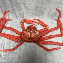 海鮮市場 カニぬいぐるみ リアルBIGぬいぐるみ 2体セット - メルカリ