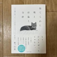 捨てられた僕と母猫と奇跡 : 心に傷を負った二人が新たに見つけた居場所