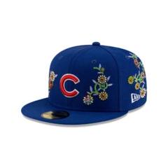 村上隆MLBシカゴカブス　レプリカ記念ボール １個◆新品ケース付 楽天市場】完売必至 村上隆 MLBワールドツアー 東京シリーズ