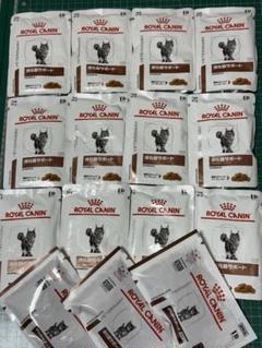  CANIN 消化器サポート 2kg消化ケア試供品20gも付き 犬用食事療法 | 消化器サポート 低脂肪 ウェット 缶 | ベッツ