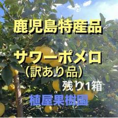 鹿児島特産品）訳ありサワーポメロ 混合サイズ 箱満杯詰 - メルカリ