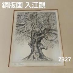(73*Z327)絵画 版画 エッチング 銅版画 入江観 73*Z327)絵画 版画 エッチング 銅版画 入江観 - メルカリ