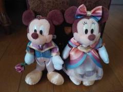 TDS 2008 シーズンオブハート ミッキー ミニー ぬいぐるみバッジ 2025年最新】シーズンオブハート2008の人気アイテム - メルカリ