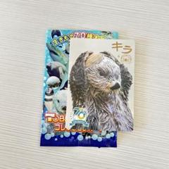 2025年最新】鳥羽水族館 70周年の人気アイテム - メルカリ