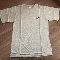 CALPIS グレー Tシャツ【新品　未使用】