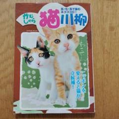 がむしゃら猫川柳 五・七・五で詠むネコゴコロ!