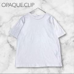 オペークドットクリップ 白Tシャツ 涼しげ素材×シンプル上品 夏服コーデ