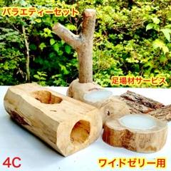 マルカン 平型皿 1カップ クワガタ カブトムシ 昆虫ゼリー