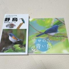 野鳥 : 日本で見られる287種判別のポイント 幸せの青い鳥