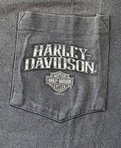 HARLEY-DAVIDSON メッシュレザーTシャツ Lサイズ 2025年最新】ハーレーダビッドソン Tシャツ lの人気アイテム