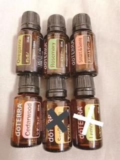 最終値下げ 【新品未開封】ドテラ キット MONTH-3 doTERRA ...