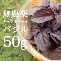 岡山産 とれたて無農薬バジル 2kg 2キロ 岡山産 とれたて無農薬バジル 2kg 2キロ - メルカリ
