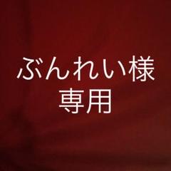 エアージョーダン12