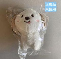RIIZE アントン ペンミ ぬいぐるみバッジ モンリョンイ RIIZE ペンミ ぬいぐるみ バッジ トレカ付き アントン