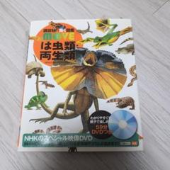 いろいろな図鑑10冊 MOVE 昆虫 、 は虫類・両生類 しんかのお話し365日 61zsQB3UlfL._AC_SY200_QL15_.jpg
