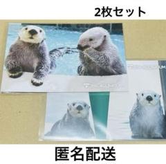 【激レア】鳥羽水族館 コレクションカード キラちゃん 貝かぶり ホロ 激レア】鳥羽水族館 ⭐️コレクションカード ⭐️キラちゃん