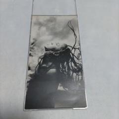 UA レコード　リズム　情熱　雲がちぎれる時　LP UA 初回限定盤 '11'12inch 2枚組 LP レコード アルバム イレブン