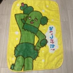 さぼさん専用 楽天市場】サボ さん グッズの通販