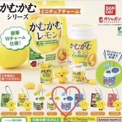 かむかむ出品. 2025年最新】かむかむの人気アイテム - メルカリ