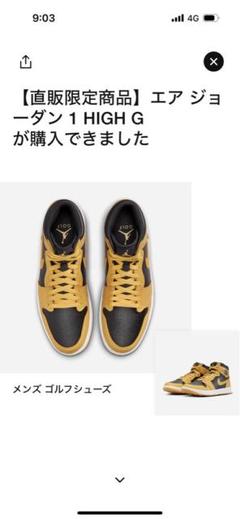 Nike Air Jordan 1 High Golf "Pollen26.5のサムネイル