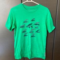 patagonia パタゴニア Tシャツ Men's XS ② グリーン