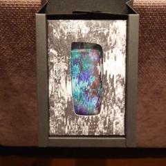 Ploom X Aqua Bouquet ケース