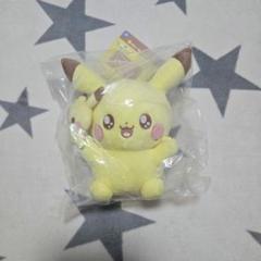 2025年最新】A賞 ピカチュウ ぬいぐるみの人気アイテム - メルカリ