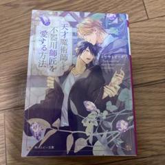 天才魔術師による不器用師匠を愛する方法 /ミヤサトイツキ BL小説