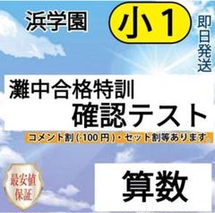【書き込みなし】浜学園　小5 灘中合格特訓 フルセット 浜学園 小6灘中合格特訓 算国理 5月・6月分(