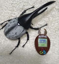 Amazon.co.jp: そだてて!甲虫王者ムシキング ノコギリクワガタ
