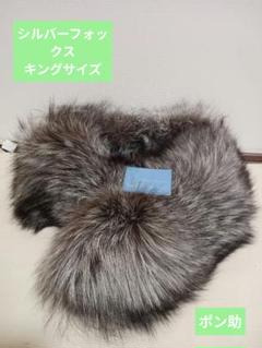 最高級/サガフォックス　シルバーフォックス キングサイズ 　タグ付き