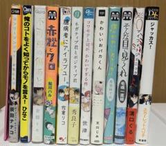 BL漫画 まとめ売り12冊