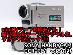 2025年最新】dcr-pc1 1 sonyの人気アイテム - メルカリ