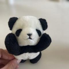 【新品未使用タグ付き】✴︎ハロウィン限定✴︎ポッチャマ ぬいぐるみセット タグ付き おたふくま ぽくぽく ぬいぐるみ | Maniackers Design Shop