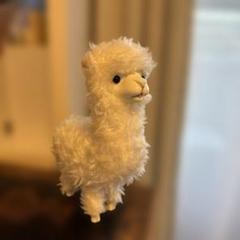 モフモフ系 アルパカ ぜんまいしかけ 歩く Wind Up Alpaca