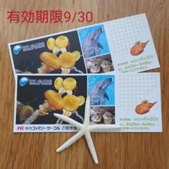 新江ノ島水族館 無料招待券1枚