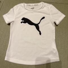 PUMA 子供用Tシャツ120