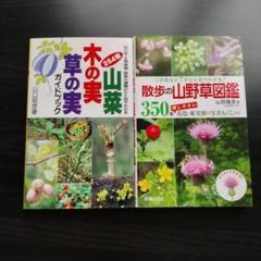 【中古】 山野草のつくり方/Ｇａｋｋｅｎ/田代道弥 中古】 山野草のつくり方/Gakken/田代道弥