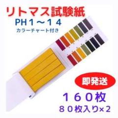 ☆【即発送】リトマス試験紙 １６０枚セット 水質検査 実験 化粧品チェックにも