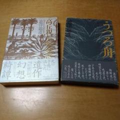 澁澤龍彦2冊セット　高丘親王航海記　うつろ舟　函・帯付き　送料込み　匿名配送