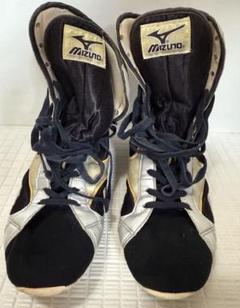 2025年最新】MIZUNO シューズの人気アイテム - メルカリ