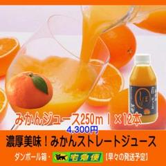【評価27000！感謝企画販売】濃縮還元してないみかんジュース1000ｍｌ×12 特売！濃縮還元してない・みかんジュース1000ml×12本 濃厚美味