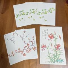 2025年最新】深沢紅子 野の花の人気アイテム - メルカリ